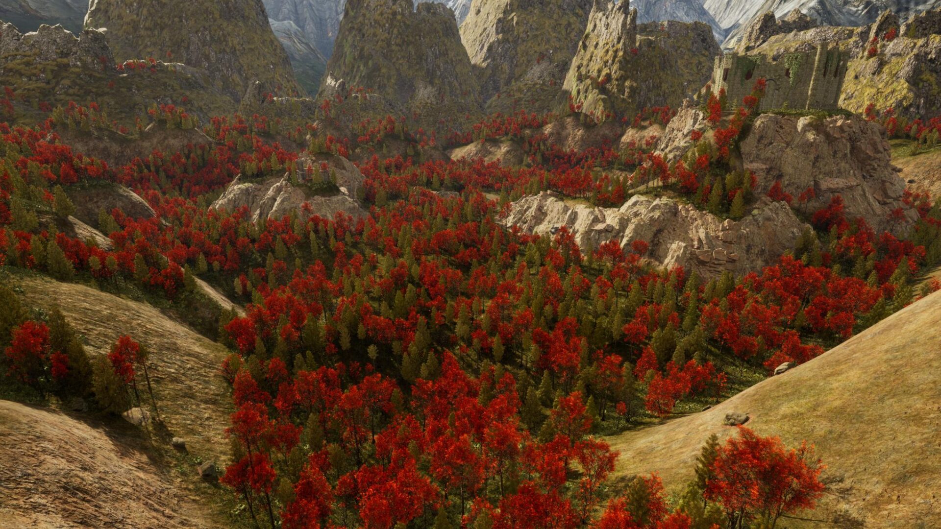 RIM_2