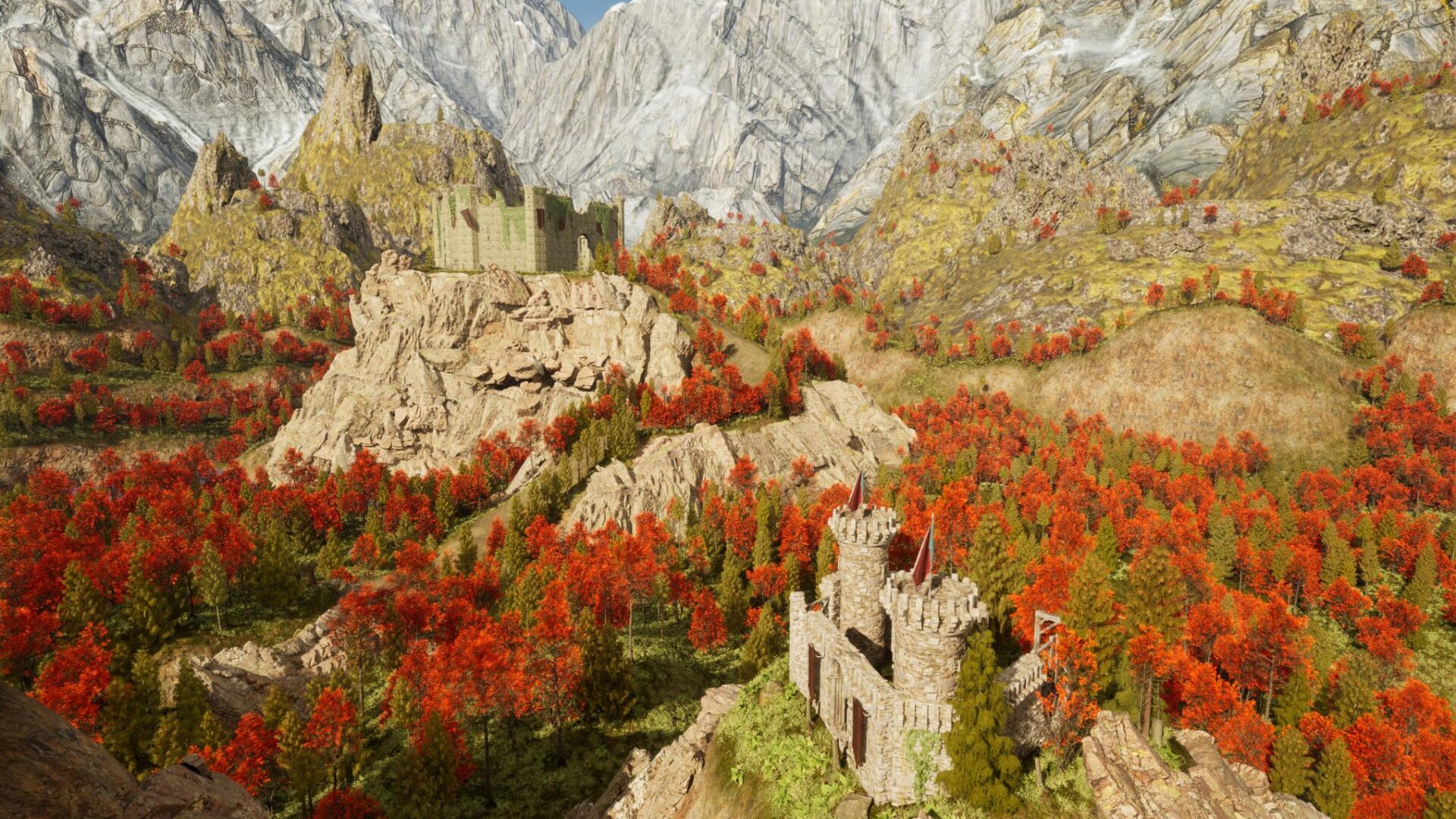 RIM_10