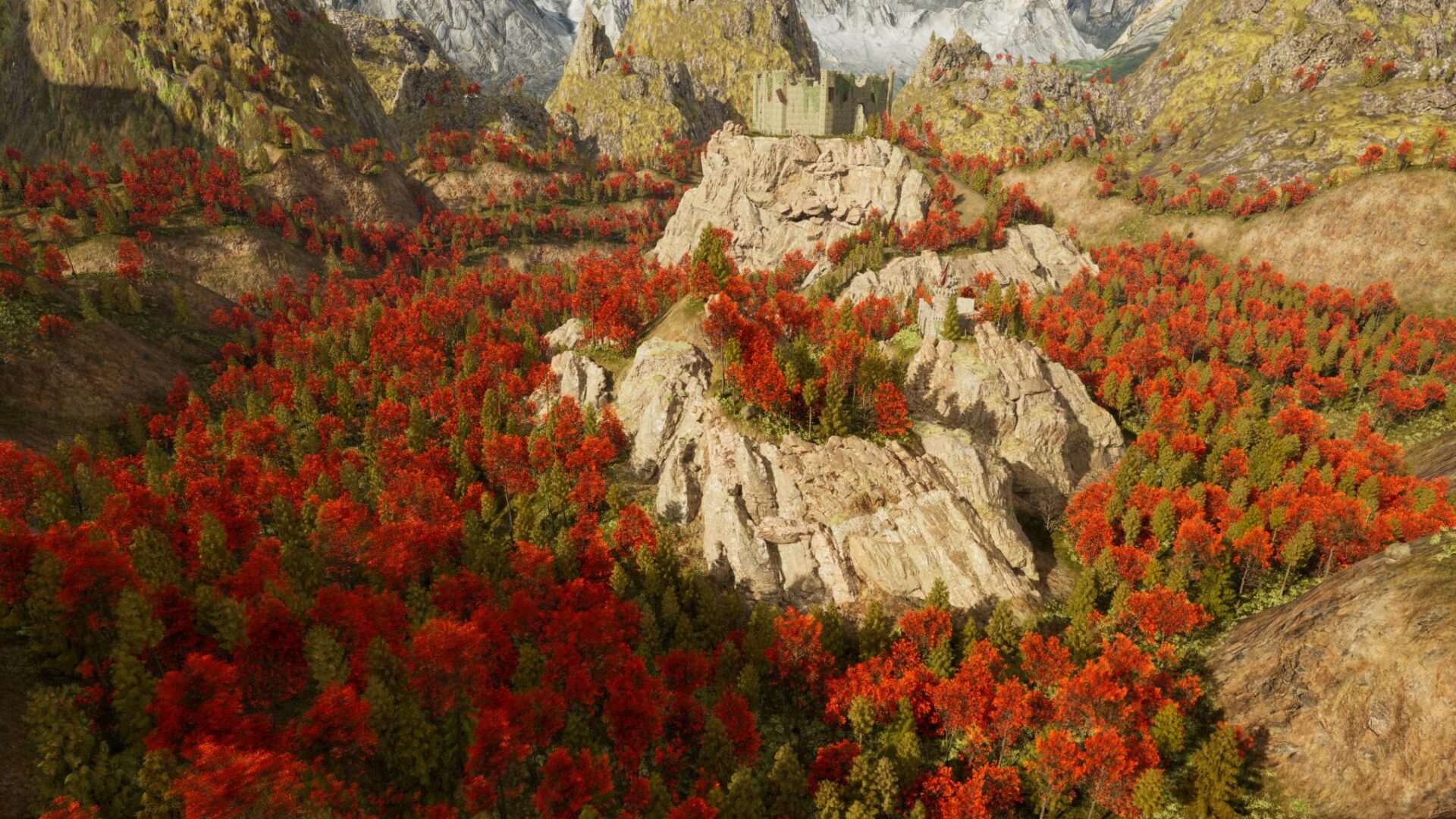 RIM_3