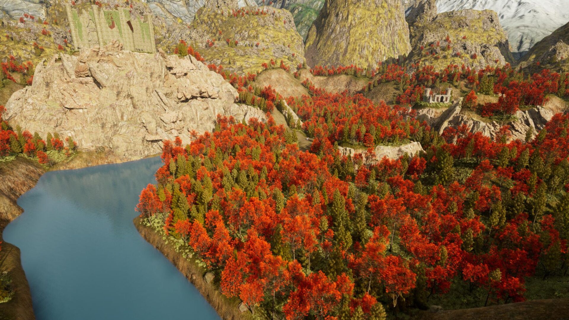 RIM_1