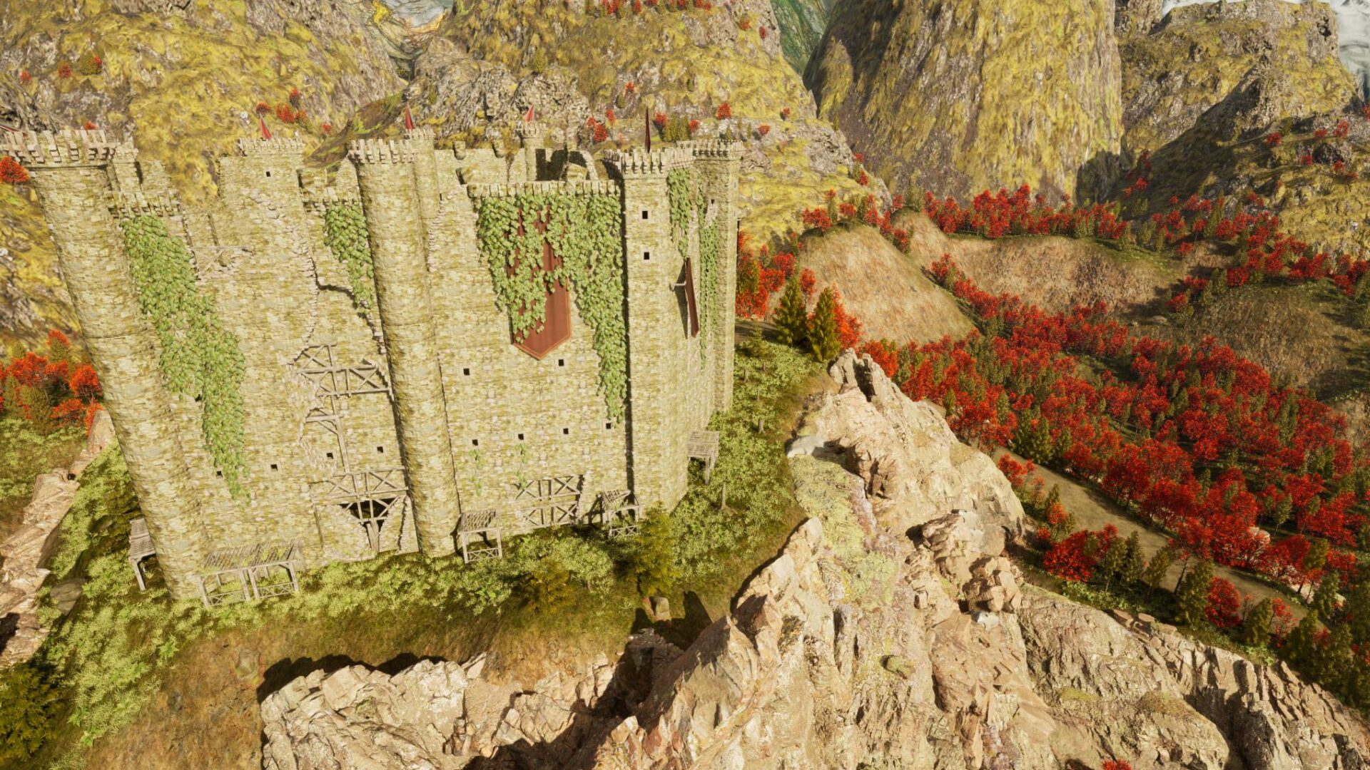 RIM_6